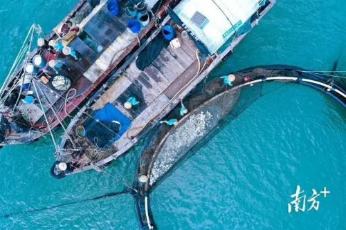 d65ef99eb4.jpg 图片