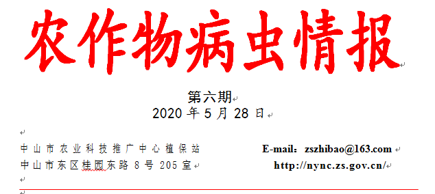 QQ截图20200528153857.png