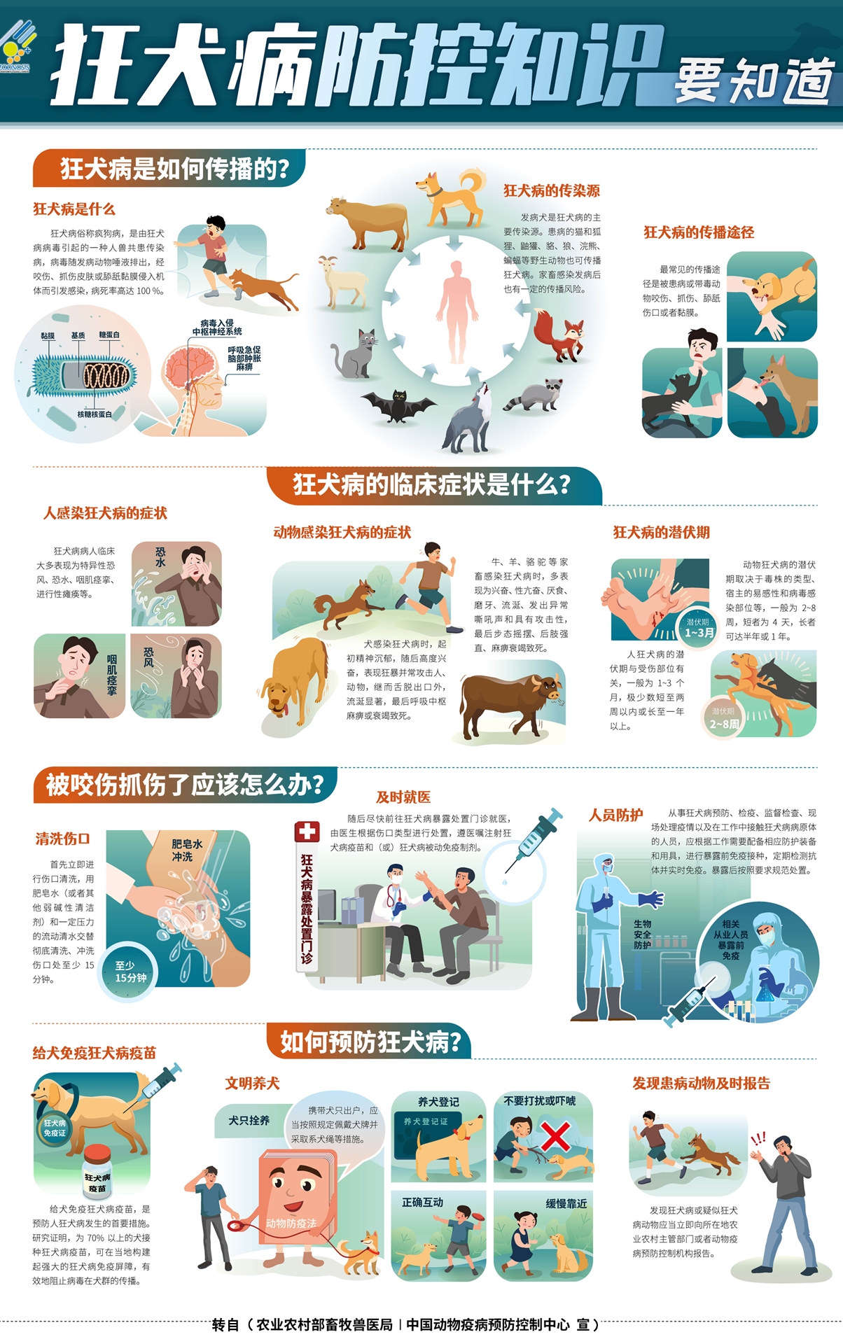 狂犬病图.png