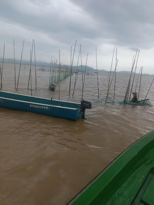 已编辑图片