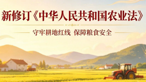 已编辑图片