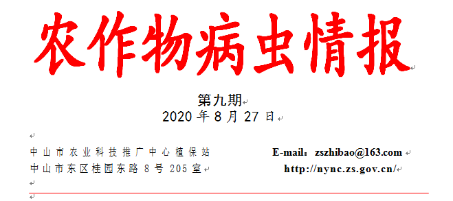 QQ截图20200828163035.png