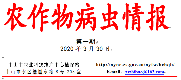 QQ截图20210331150119.png